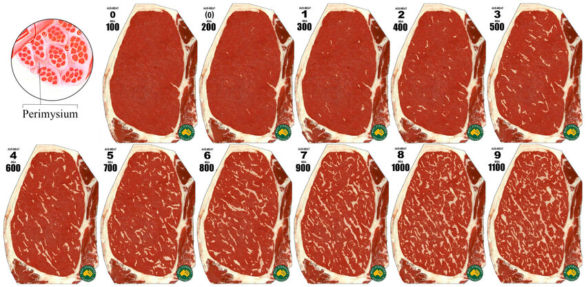 The Marbles Meat Co. Marbling score standard